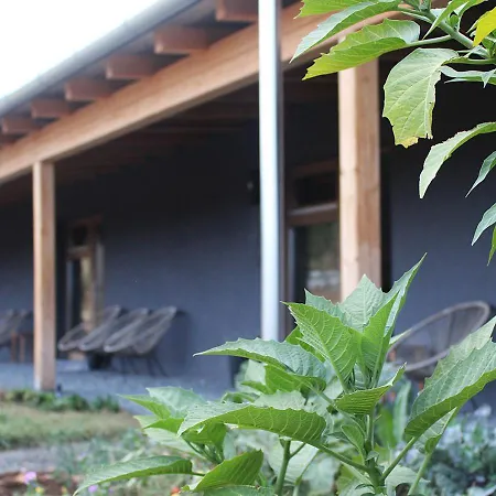 Jelenret Апартаменты Hegyesd