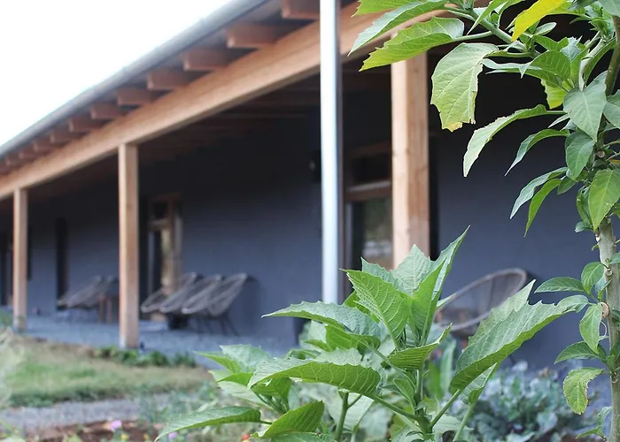 Jelenret アパート Hegyesd